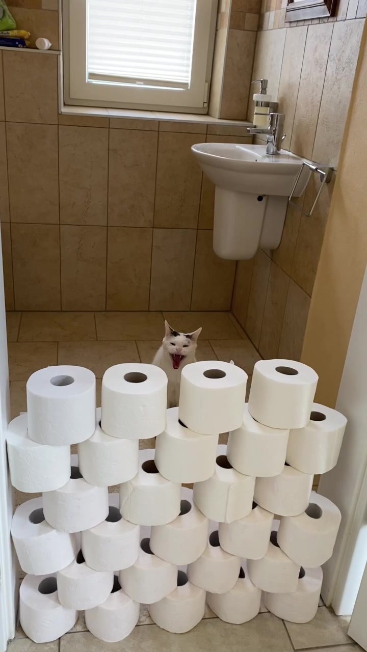 @Marielethecat