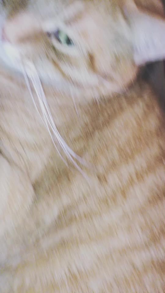 @_ᕼI_ᕼI_