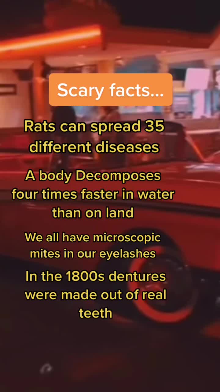 @BrainTester🧠