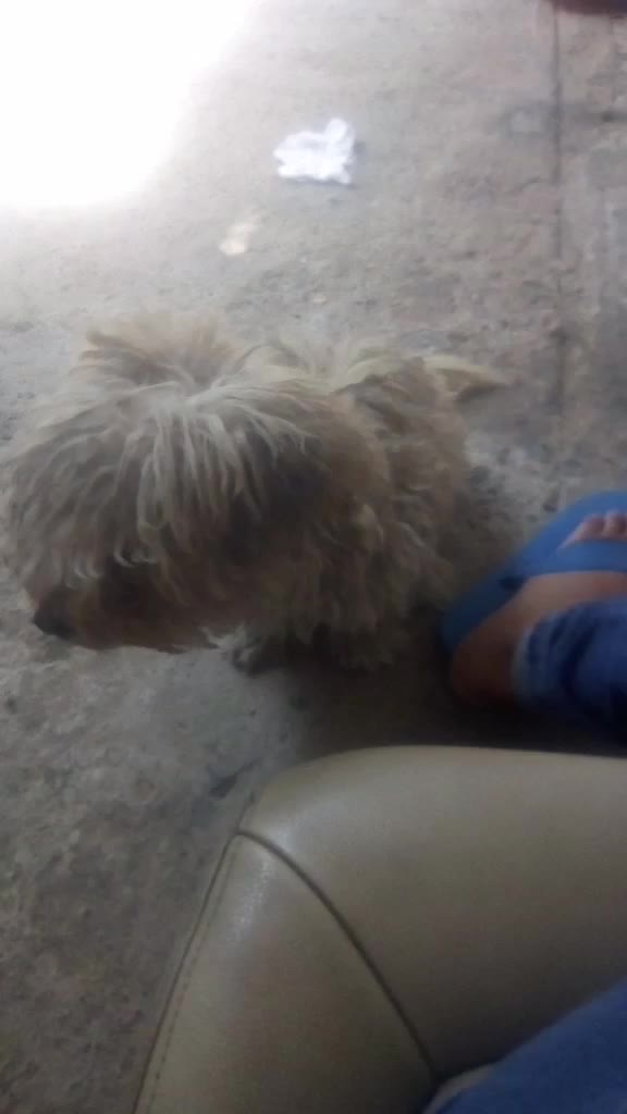 @Gudalupe Gomez