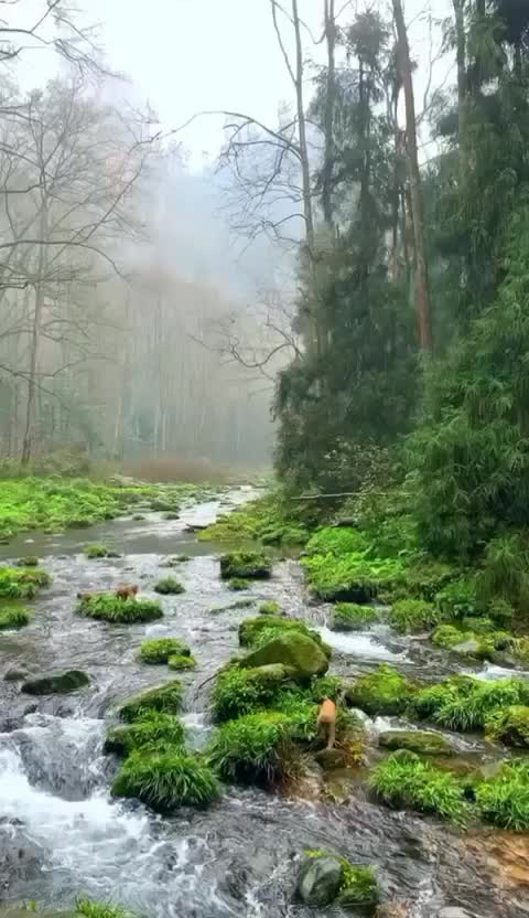 @sajeer_ahemmed