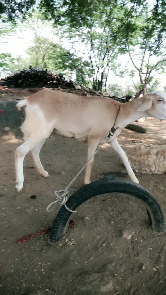 @@siva3839
