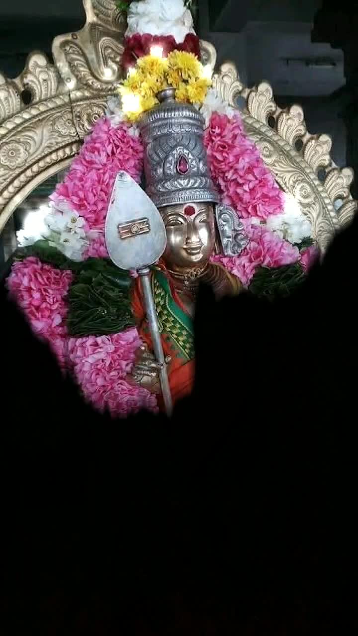 @vijay2130