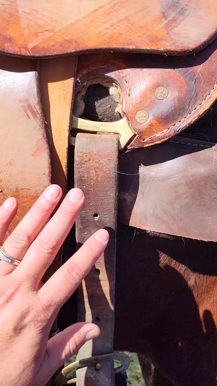 @AZNativeMaryP
