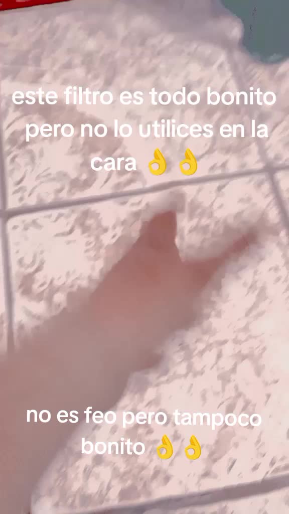 @Fernanda Coaquira❤️