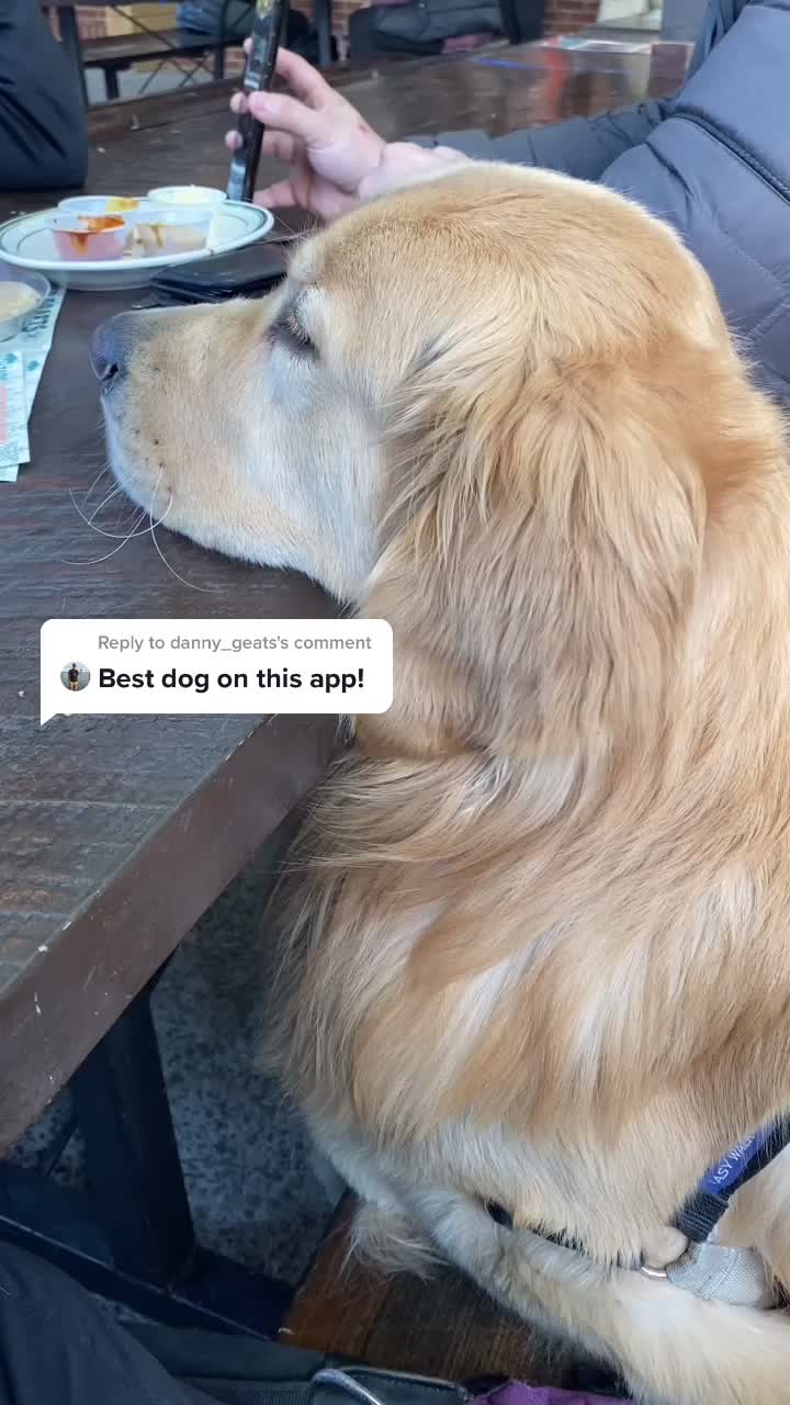 @handsomebarley
