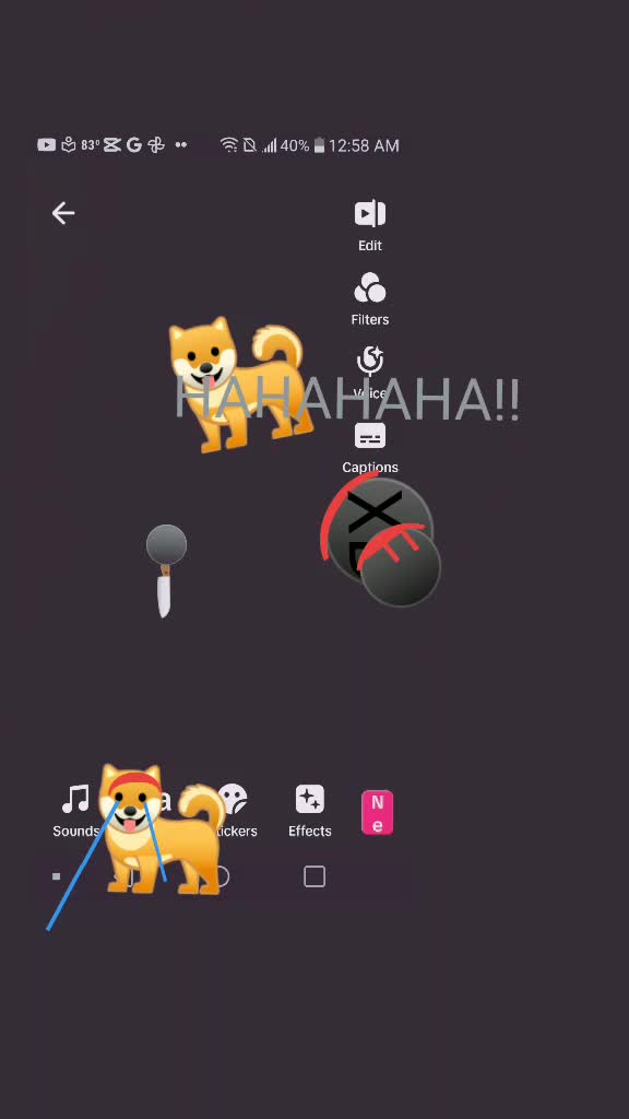 @inceiryz_hate_animals