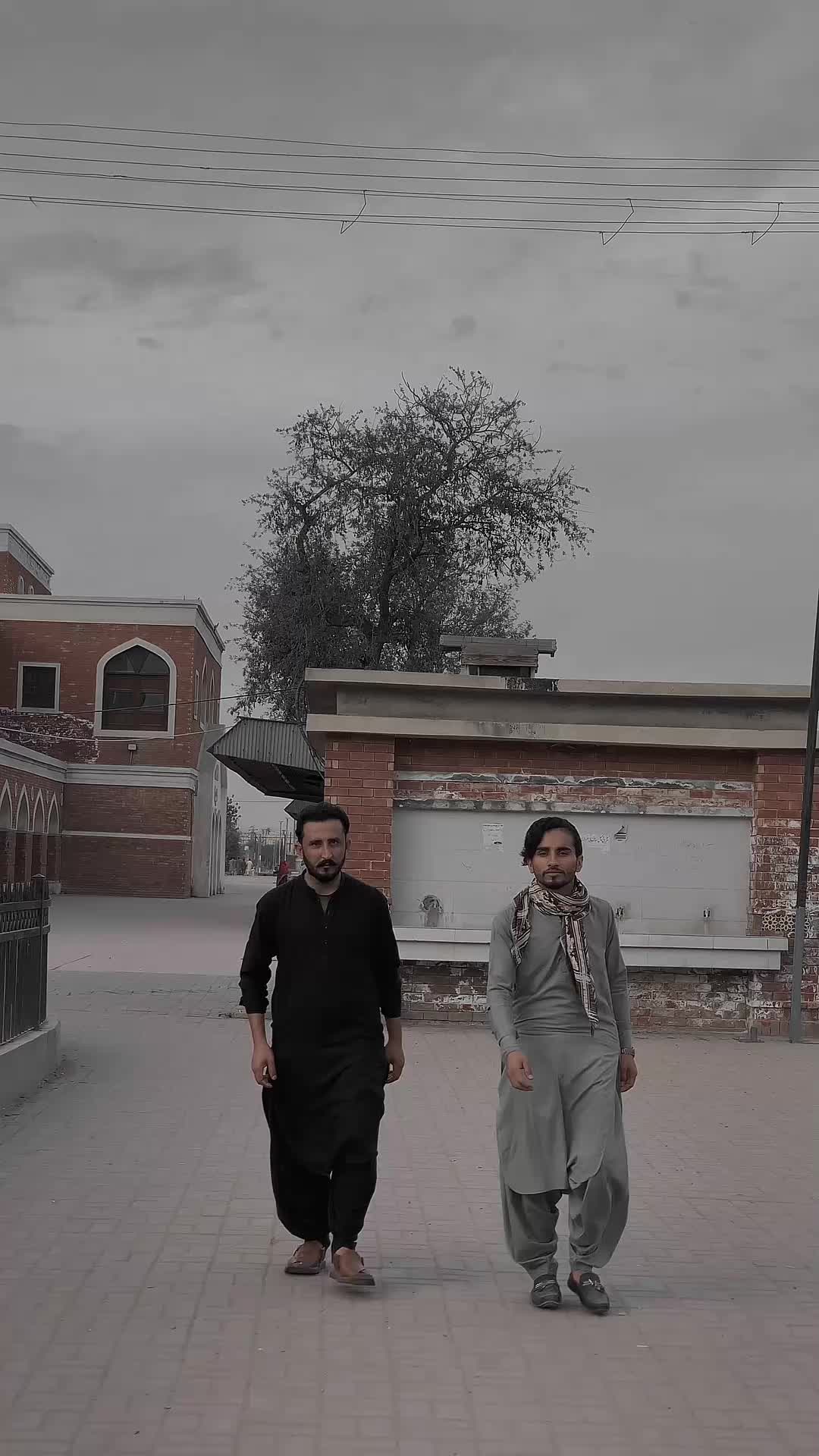 @adilarmani235