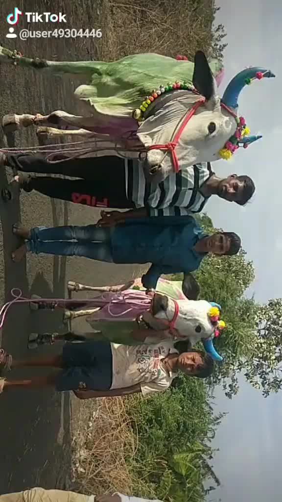 @sangmesh kallur