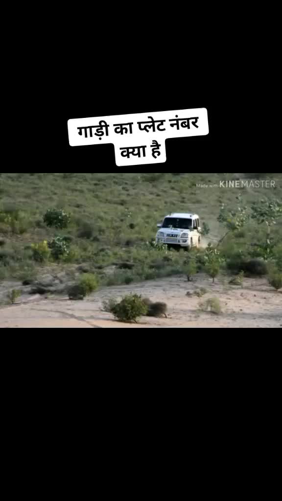 @Rmu Rabari