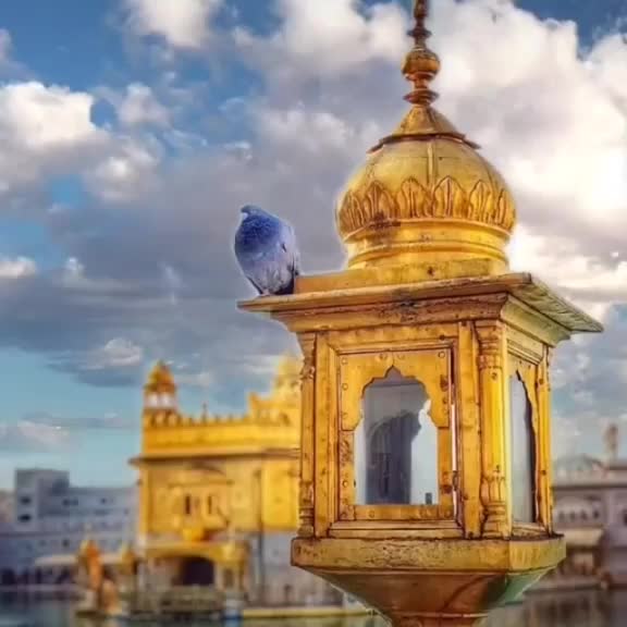 @poonamvinayak3