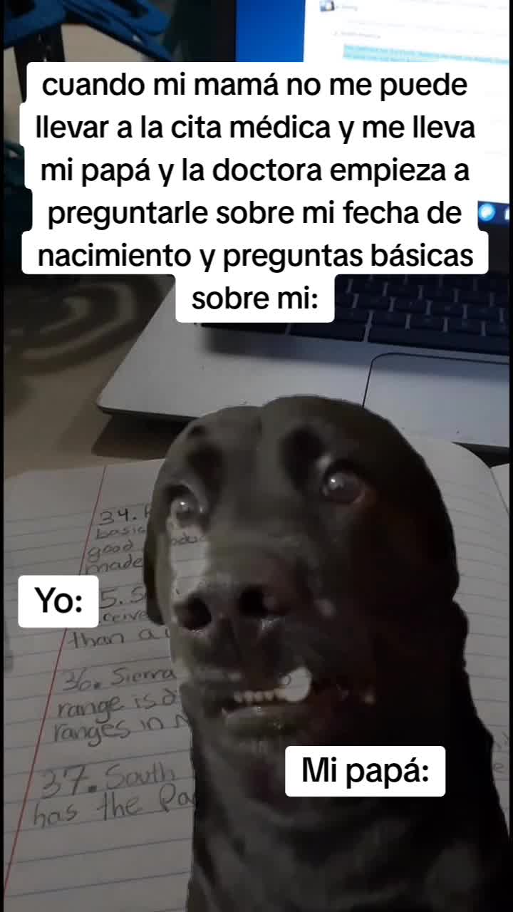 @Luis Carvajal240