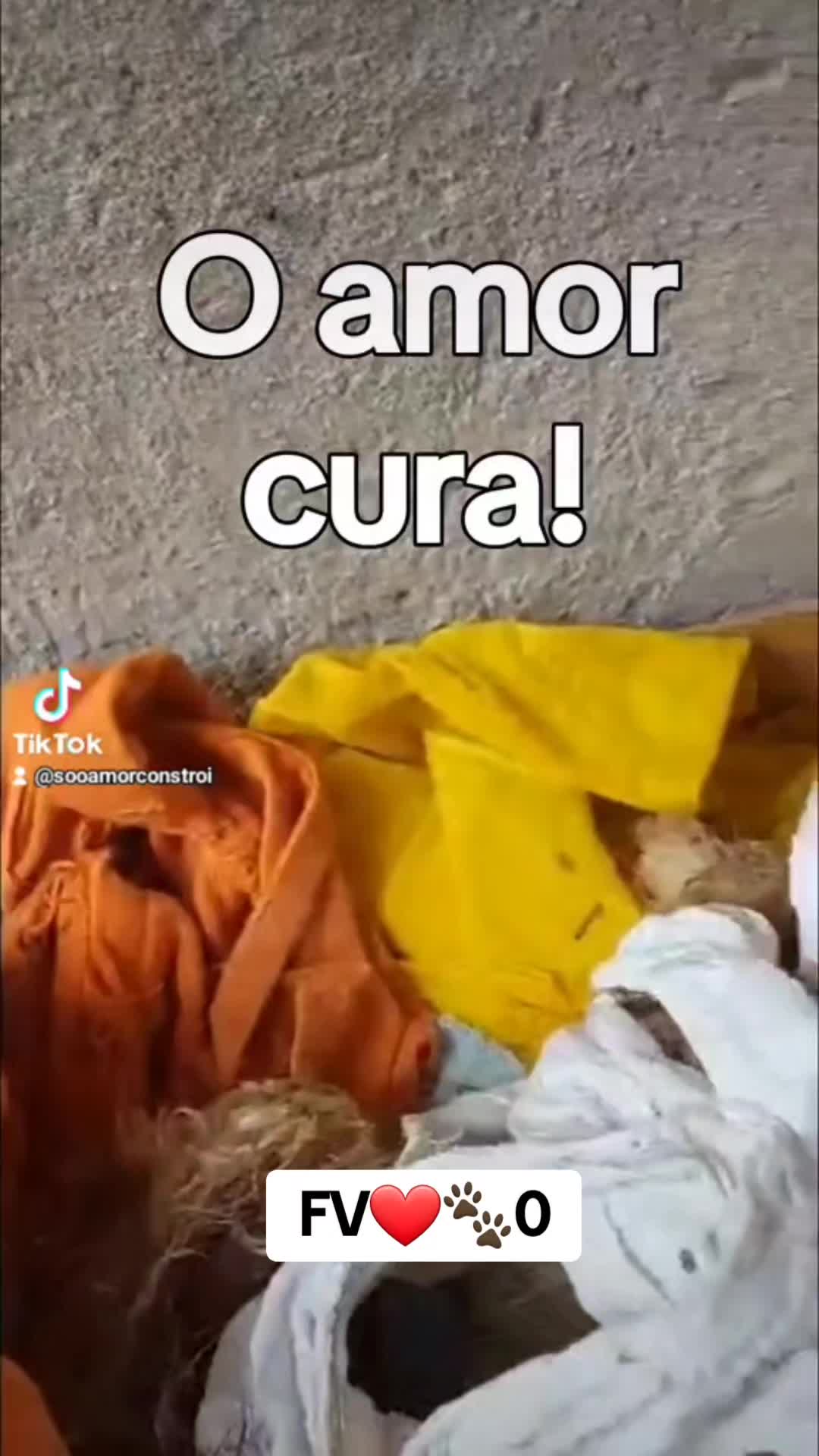 @Tropa da Fatinha🐶🐱🐎...