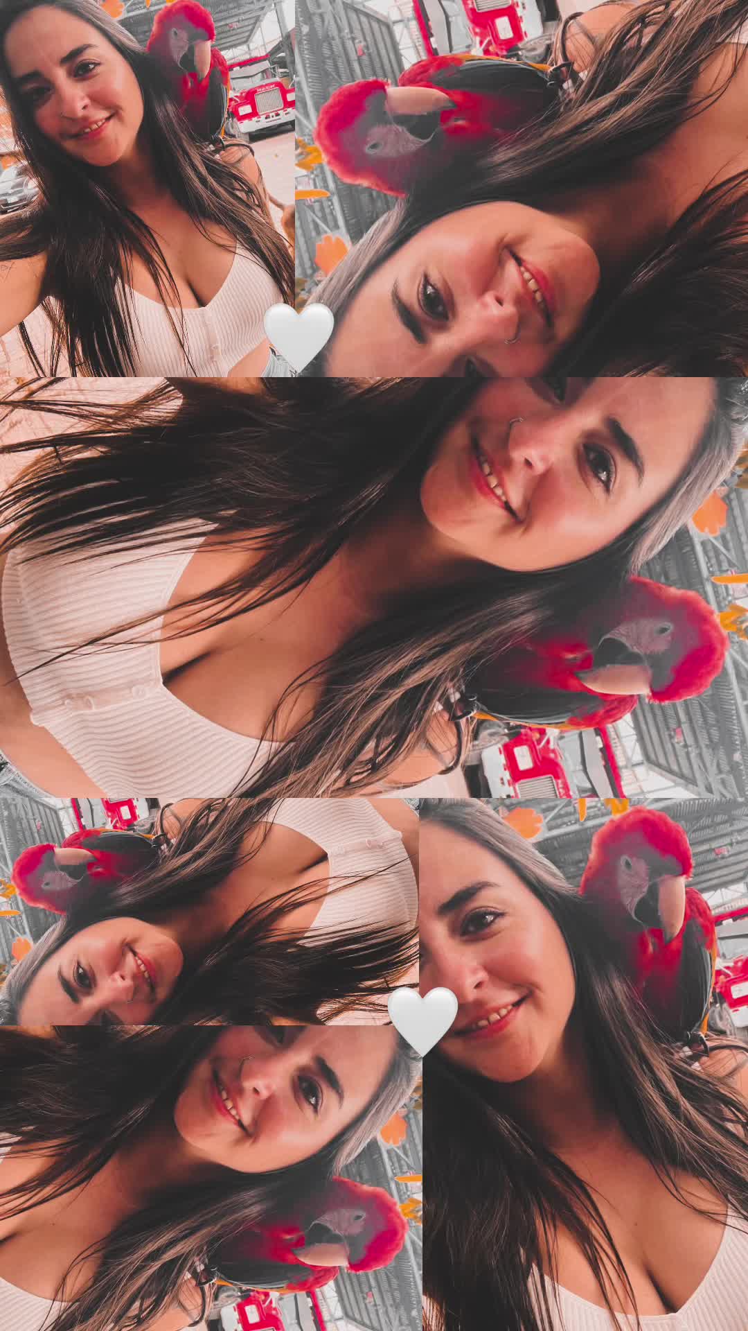 @Shir Sol&iacute;s