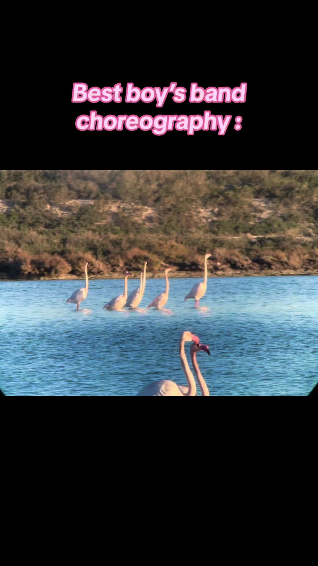 @_camzzam