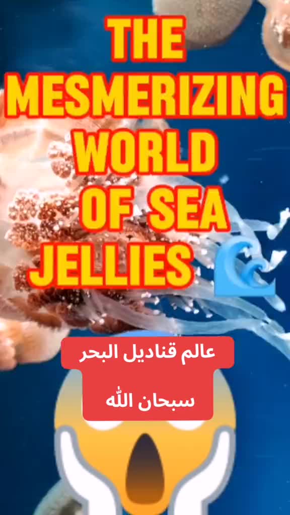 @عالم الحيوانات والطبيعة
