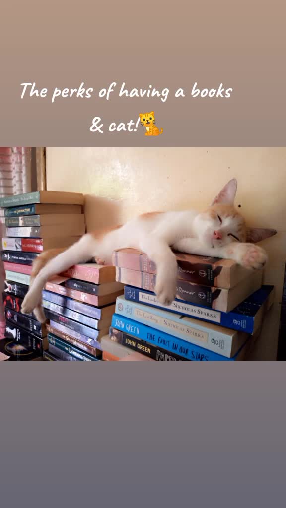 @bookview
