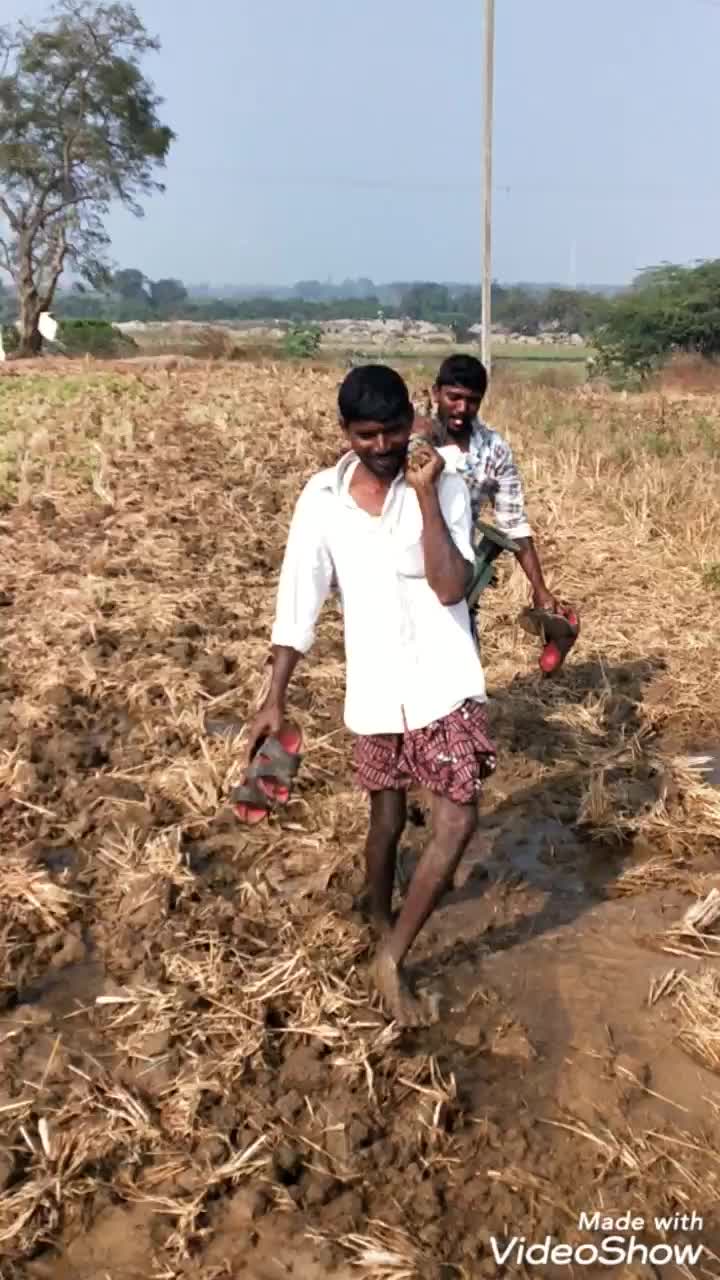 @user8239974086981