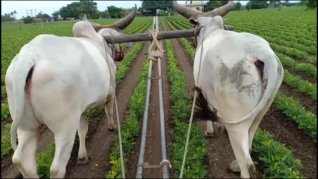 @Hardik8920