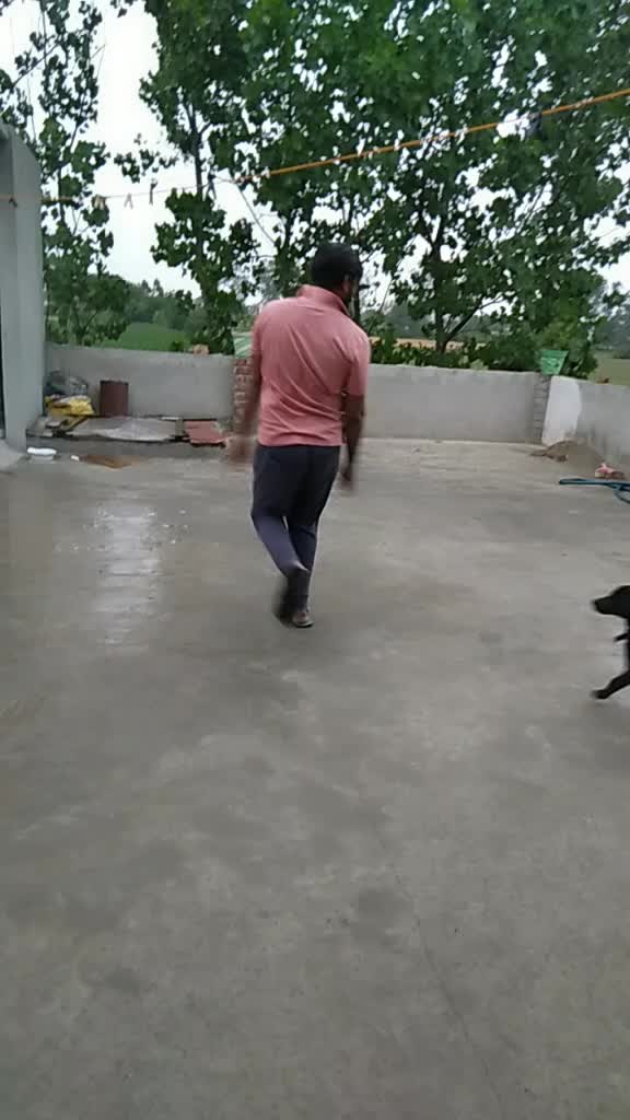 @Romi/Sonia Randhawa