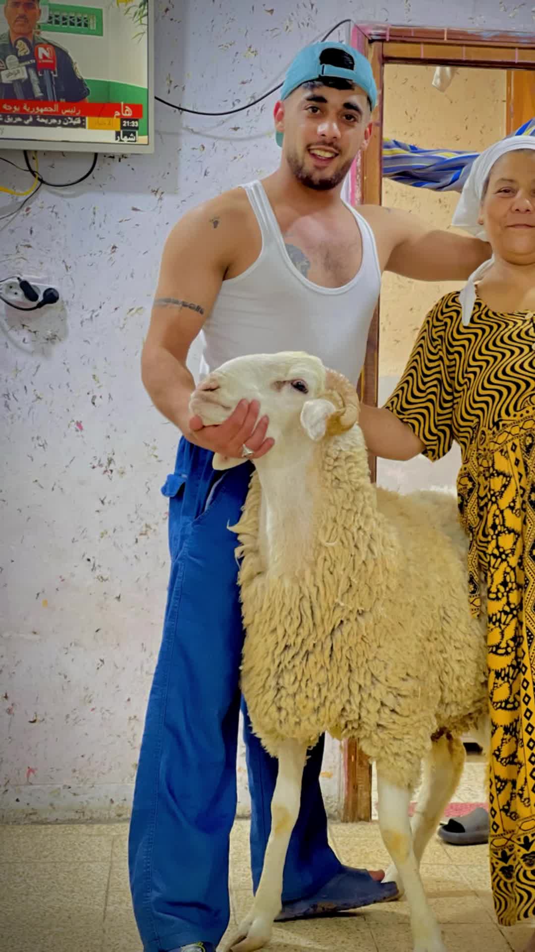 @ÃBDõ Baligo 31 🇩🇿👀🗣️