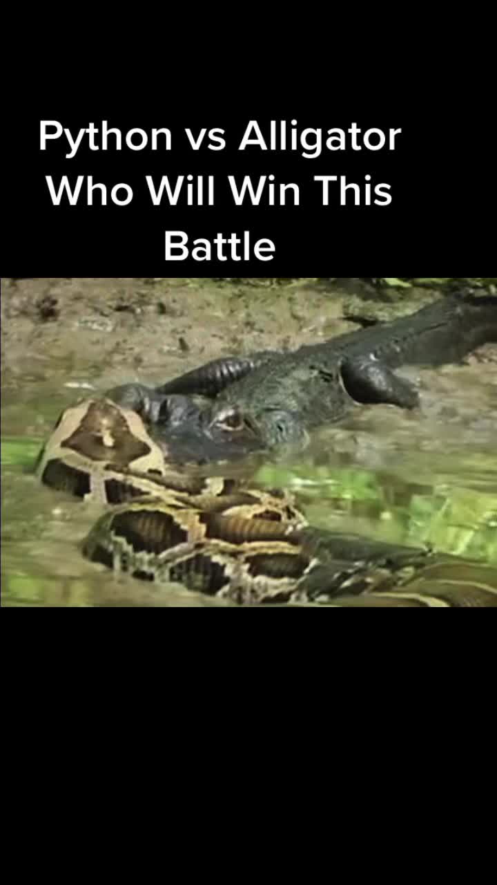 @borderman20