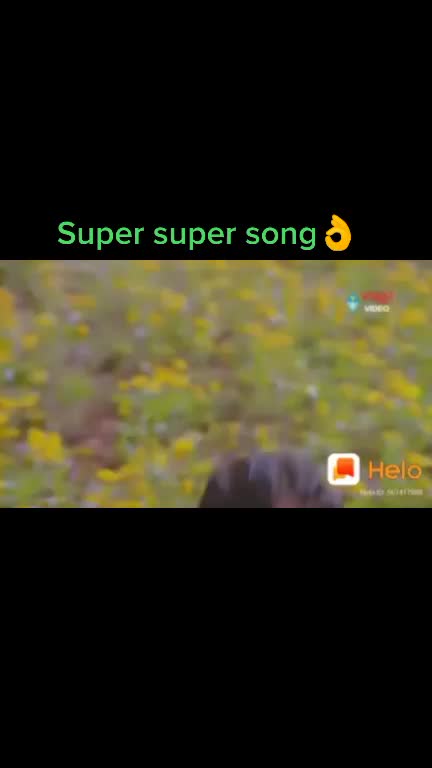 @user108049311599