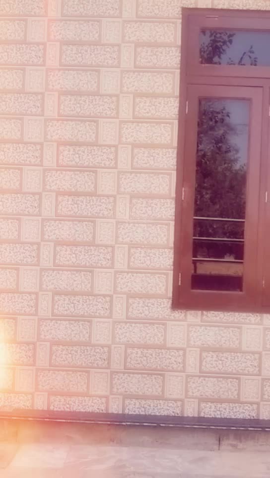@thechickoojangir