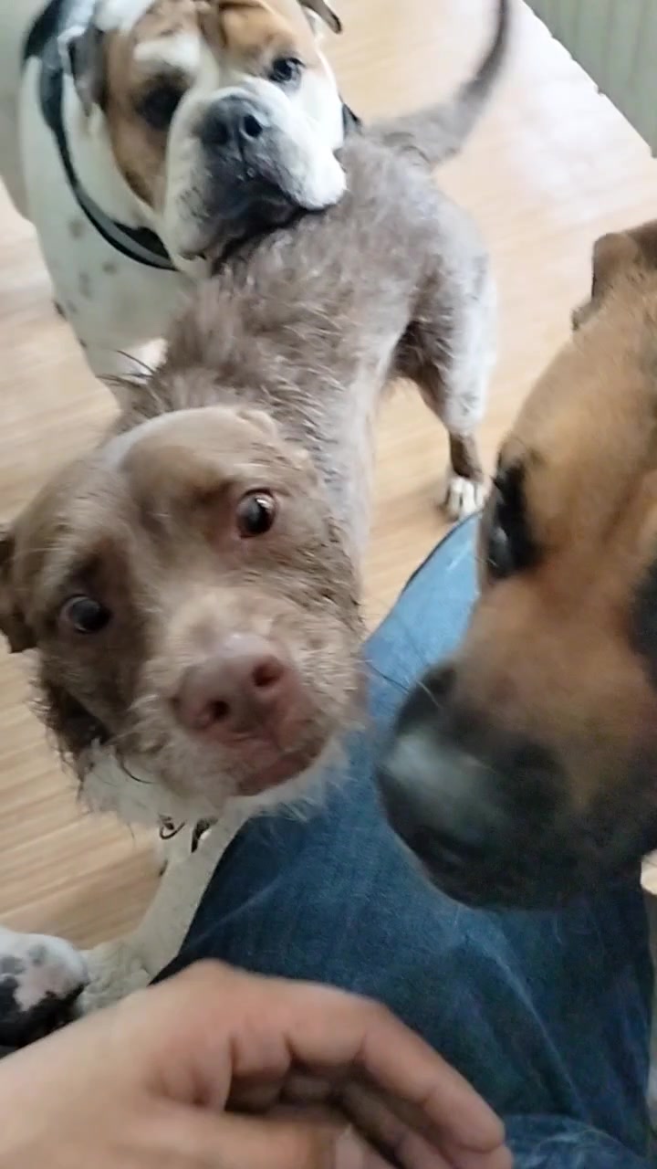 @Canbnb 🐶❤️
