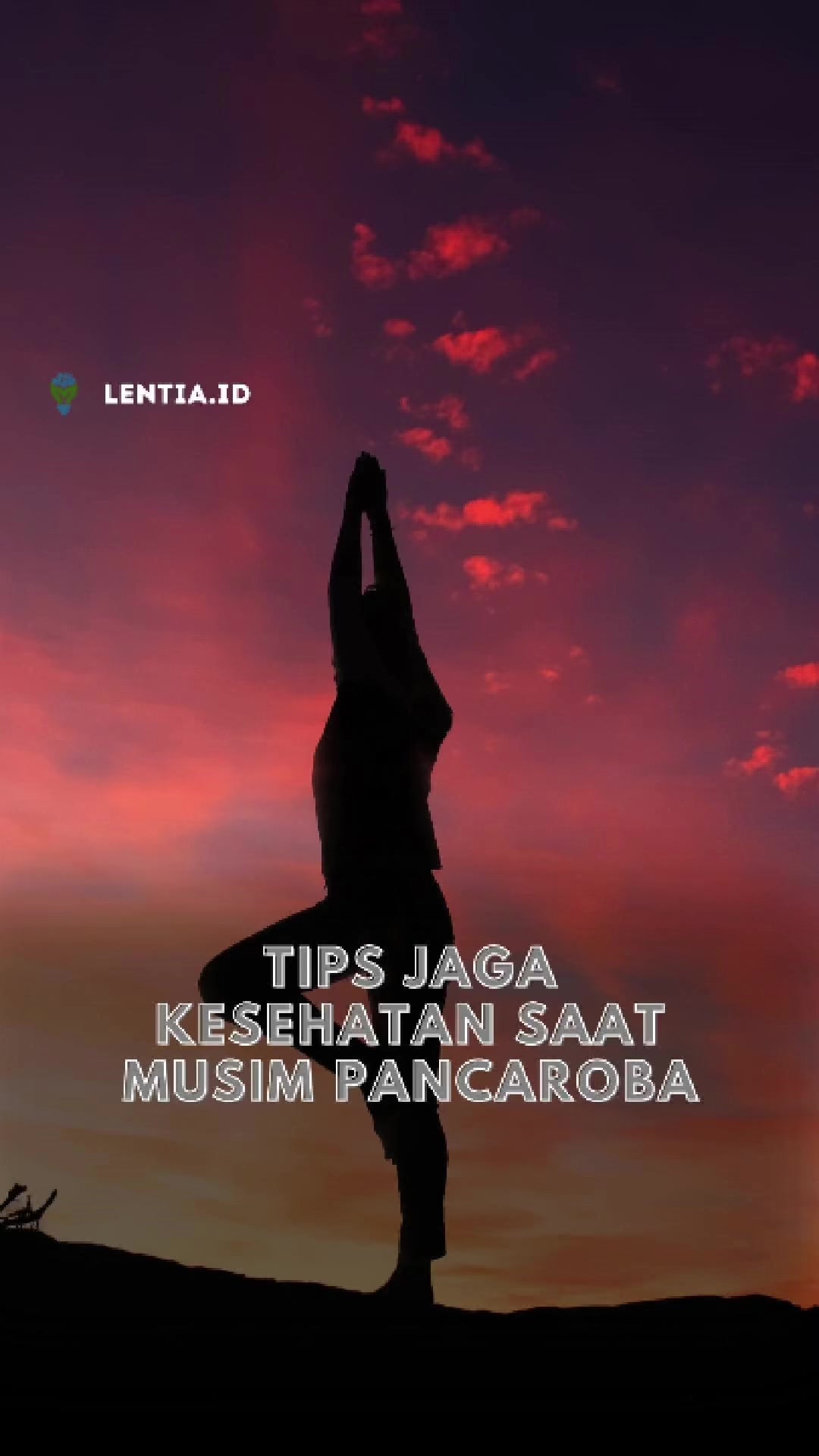 @Lentia.id