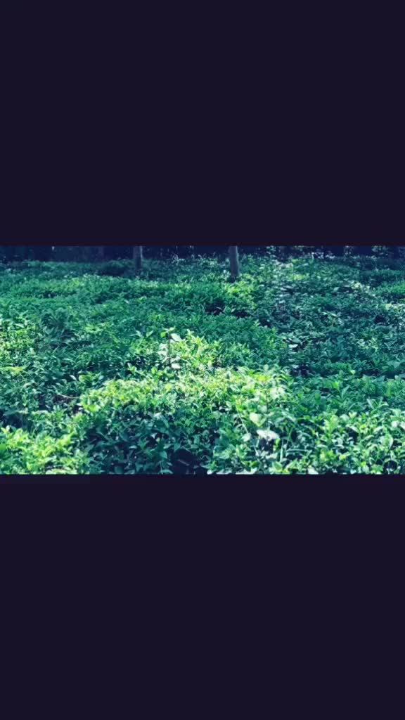 @Ankita Dhalari