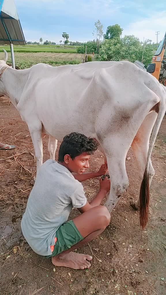 @Venkat Vijai