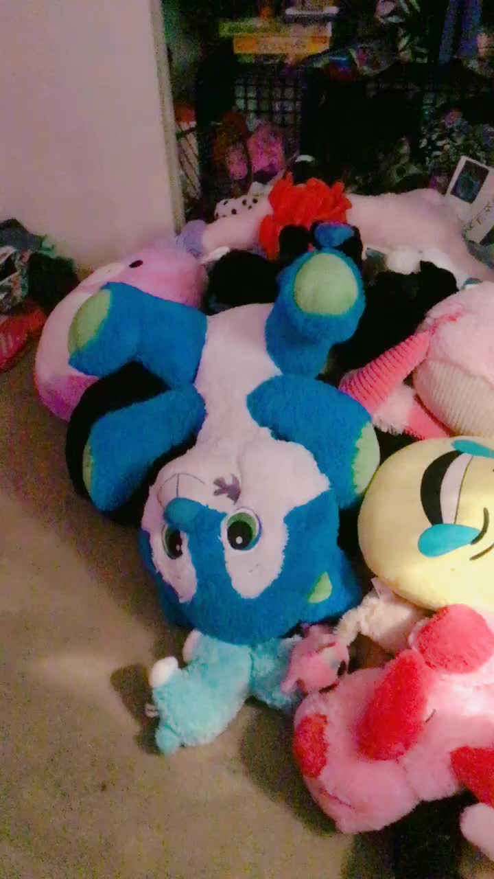 @Shylee