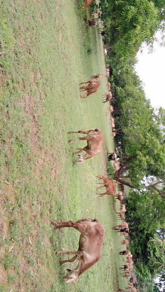 @vallapu Umesh Yadav