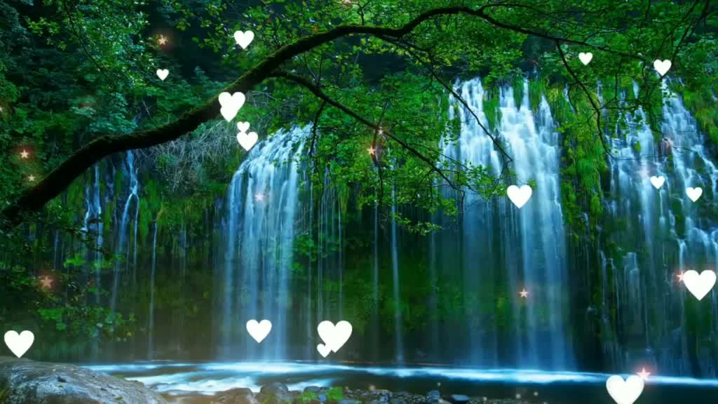 @amitkumar40071