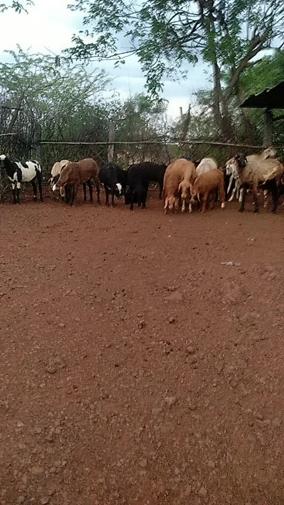 @a. shivakumaranna