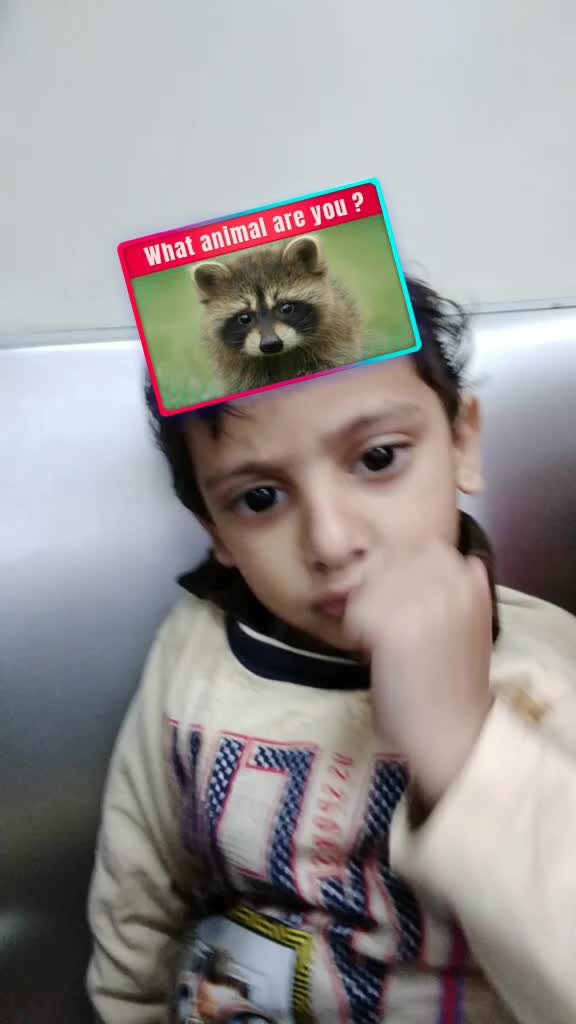 @Akbar Ali