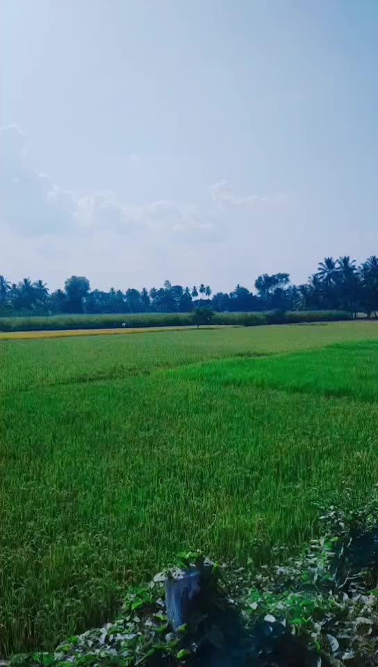 @Nirup Raj Niru