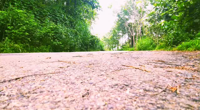 @കലിപ്പന്റെ കാന്താരി