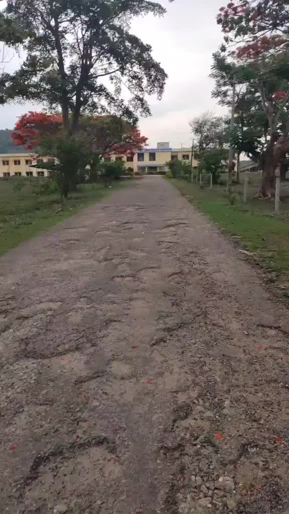 @ಪಕ್ಕಾ ದಚ್ಚು ಅಭಿಮಾನಿ