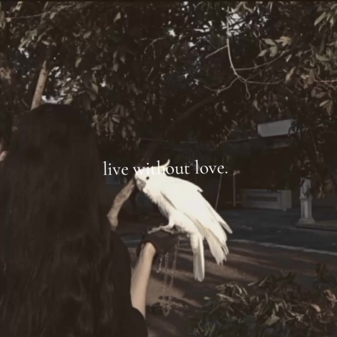 @ダイヤモンド🦊