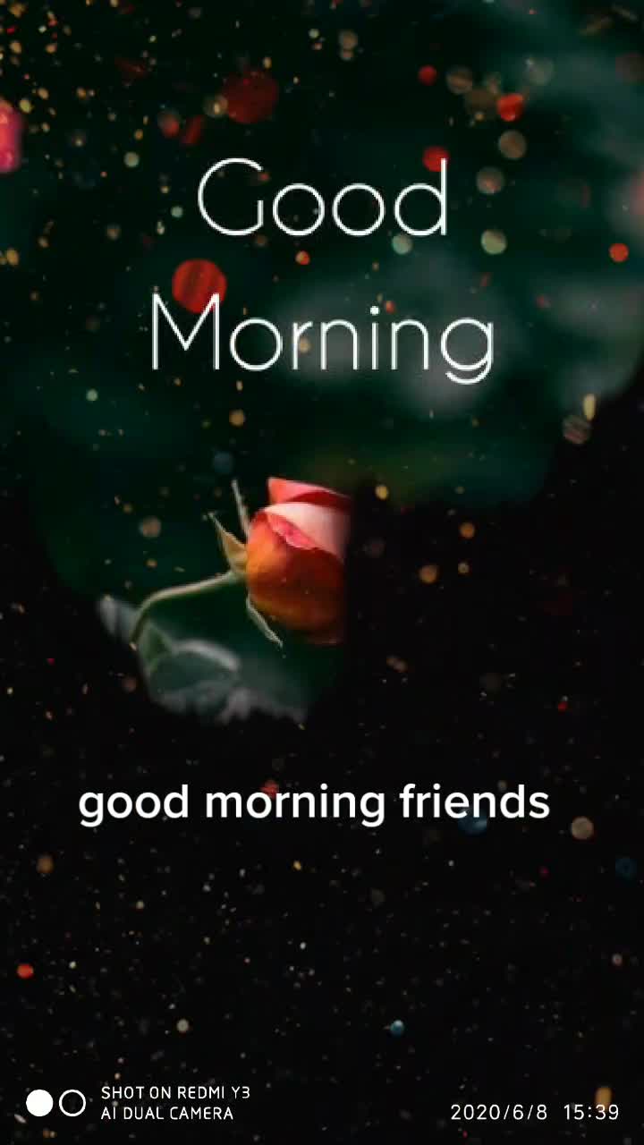 @user3516979019333