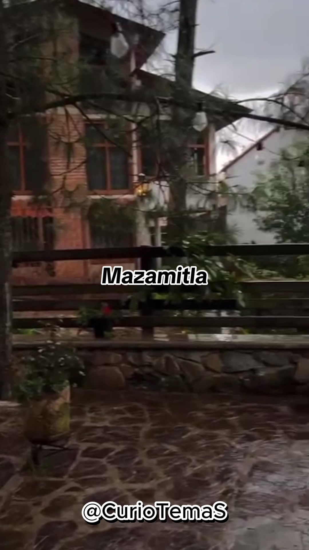 @CurioTemaS