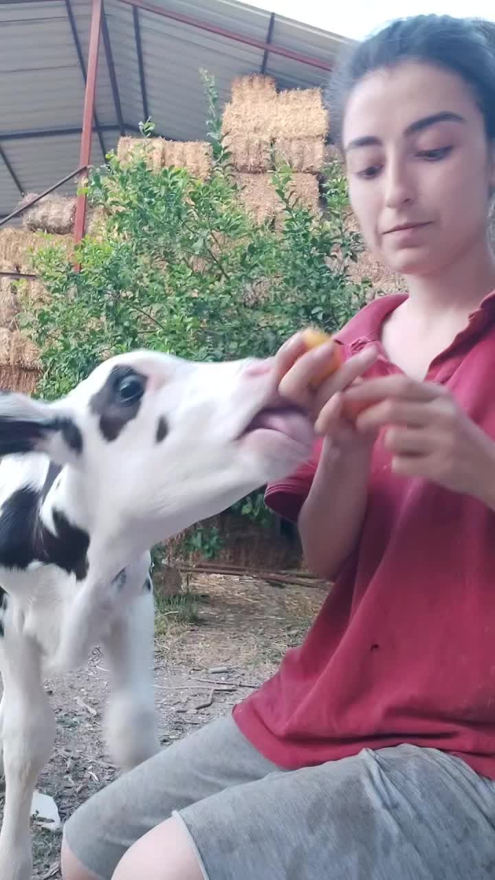 @Şerife Yılmaz