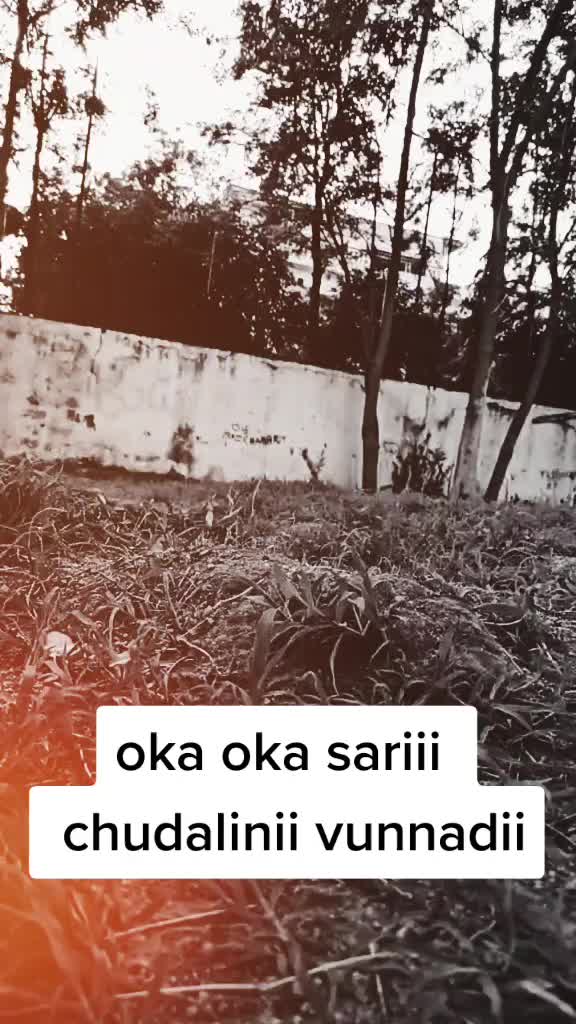 @👸_Queen_ka_king_🤴