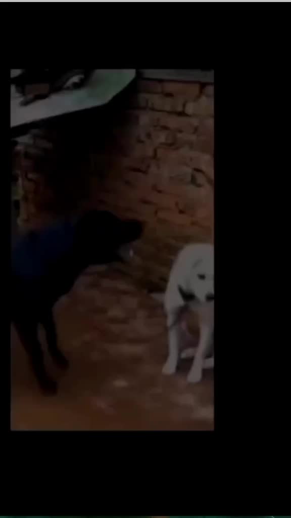 @nani