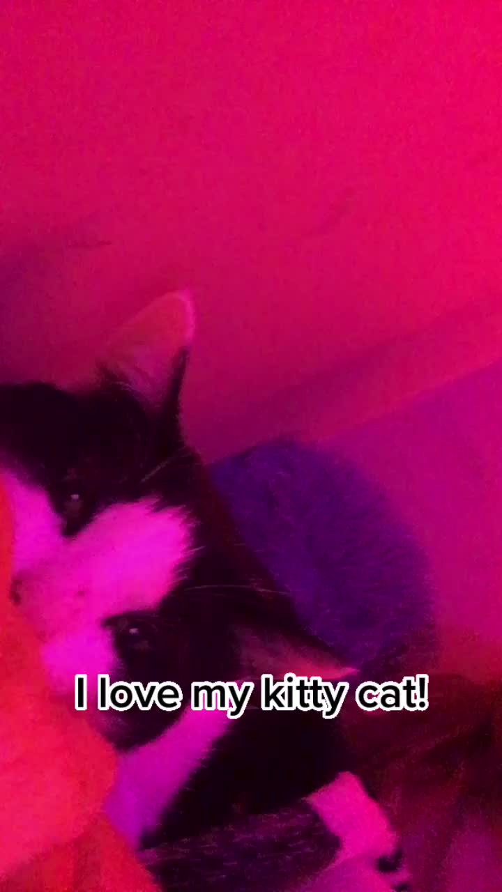 @😺😺