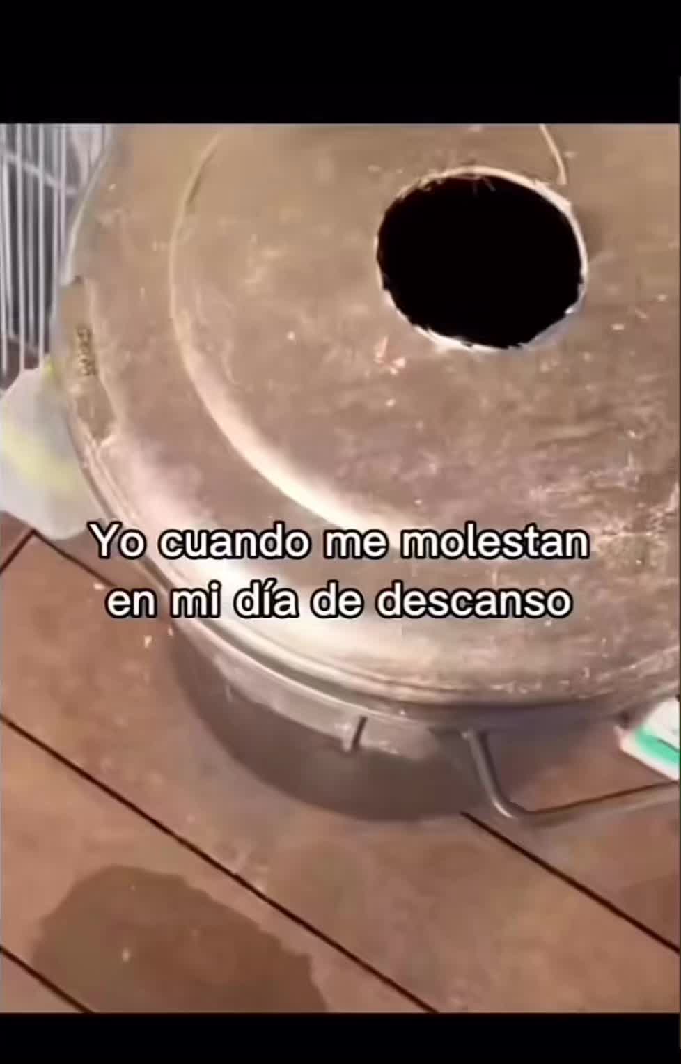 @Matthew