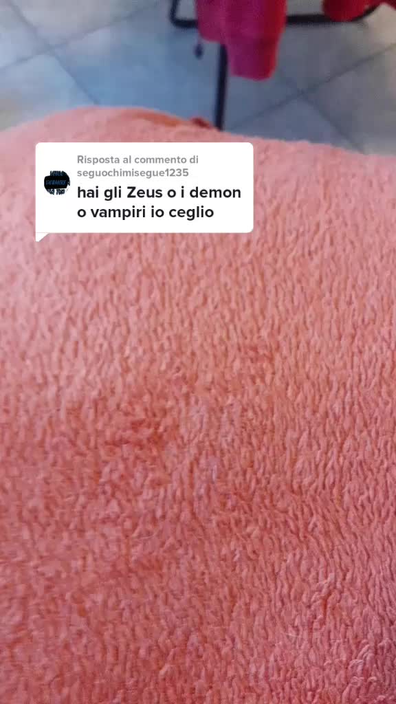 @yakixz