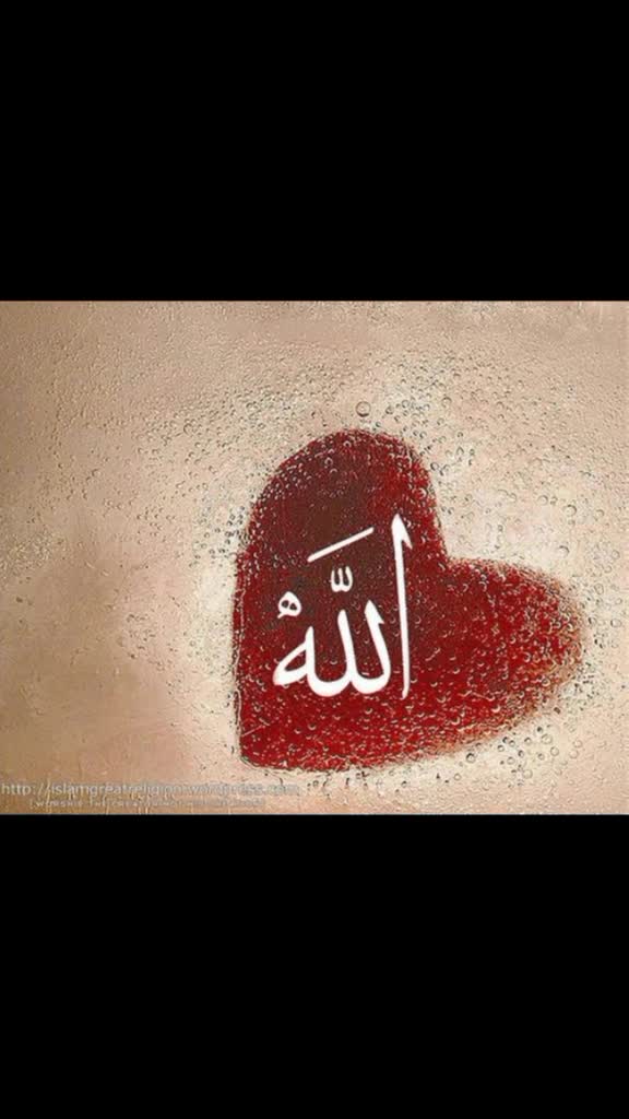 @skatif1137